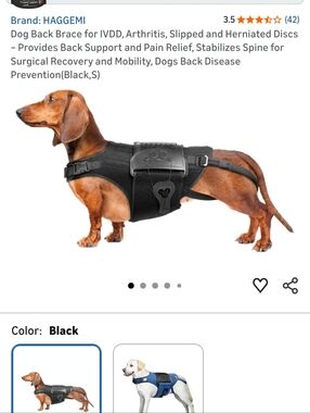 Dog Back Support Harness for Mobility & Surgical Recovery - Black
